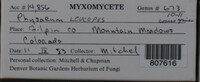 Image Associated With the Occurence